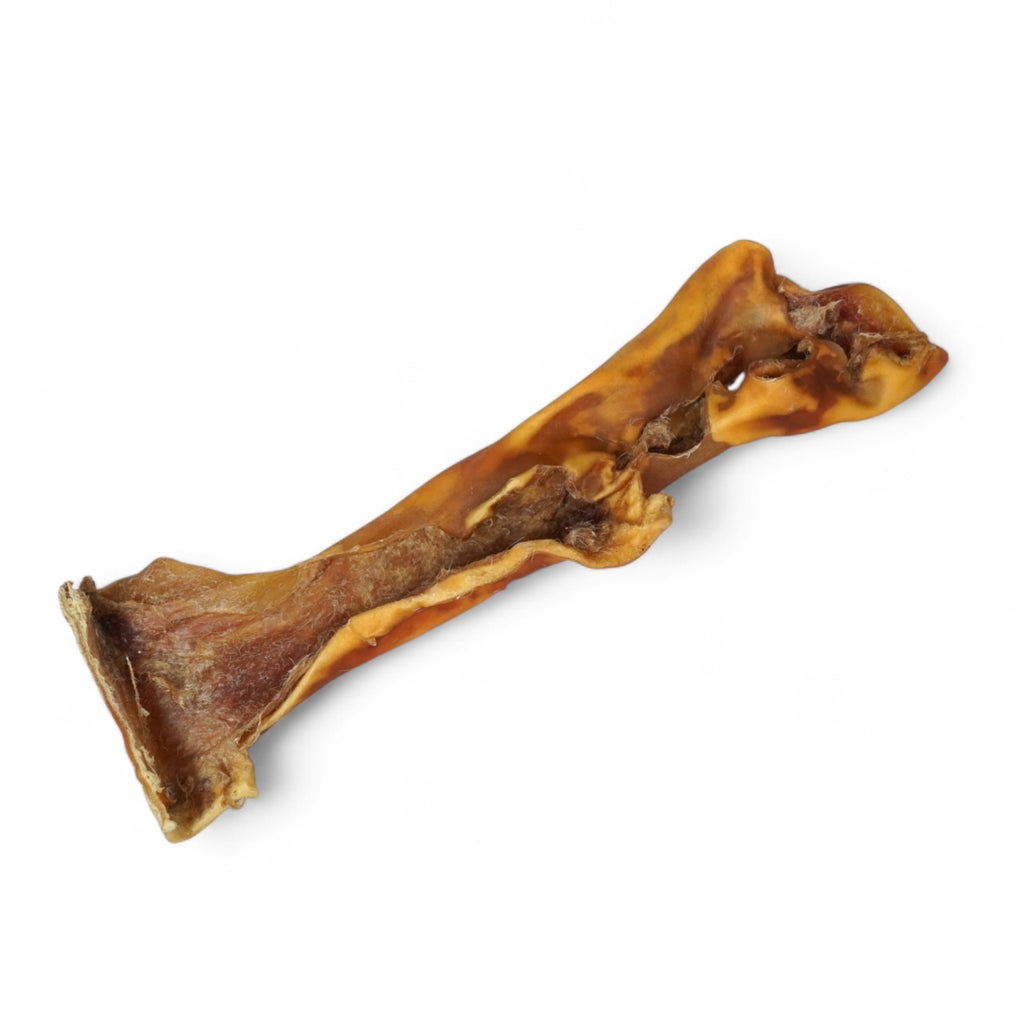 BACO DOG GEAR