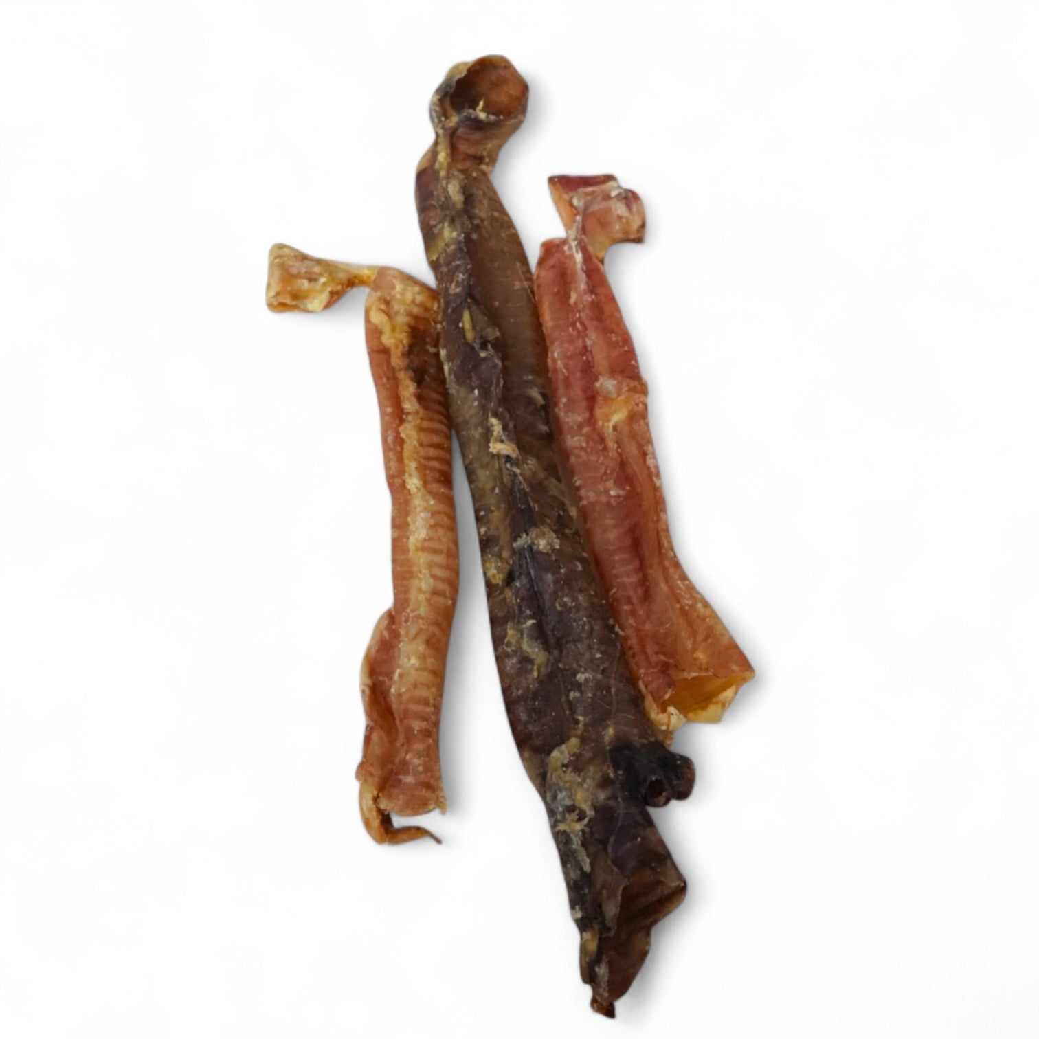 BACO DOG GEAR