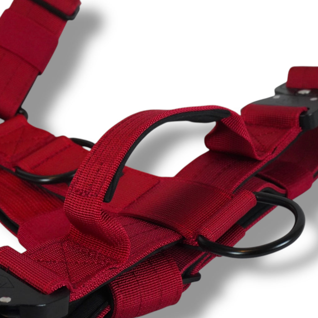 BACO DOG GEAR