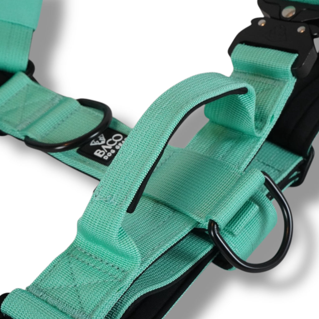 BACO DOG GEAR