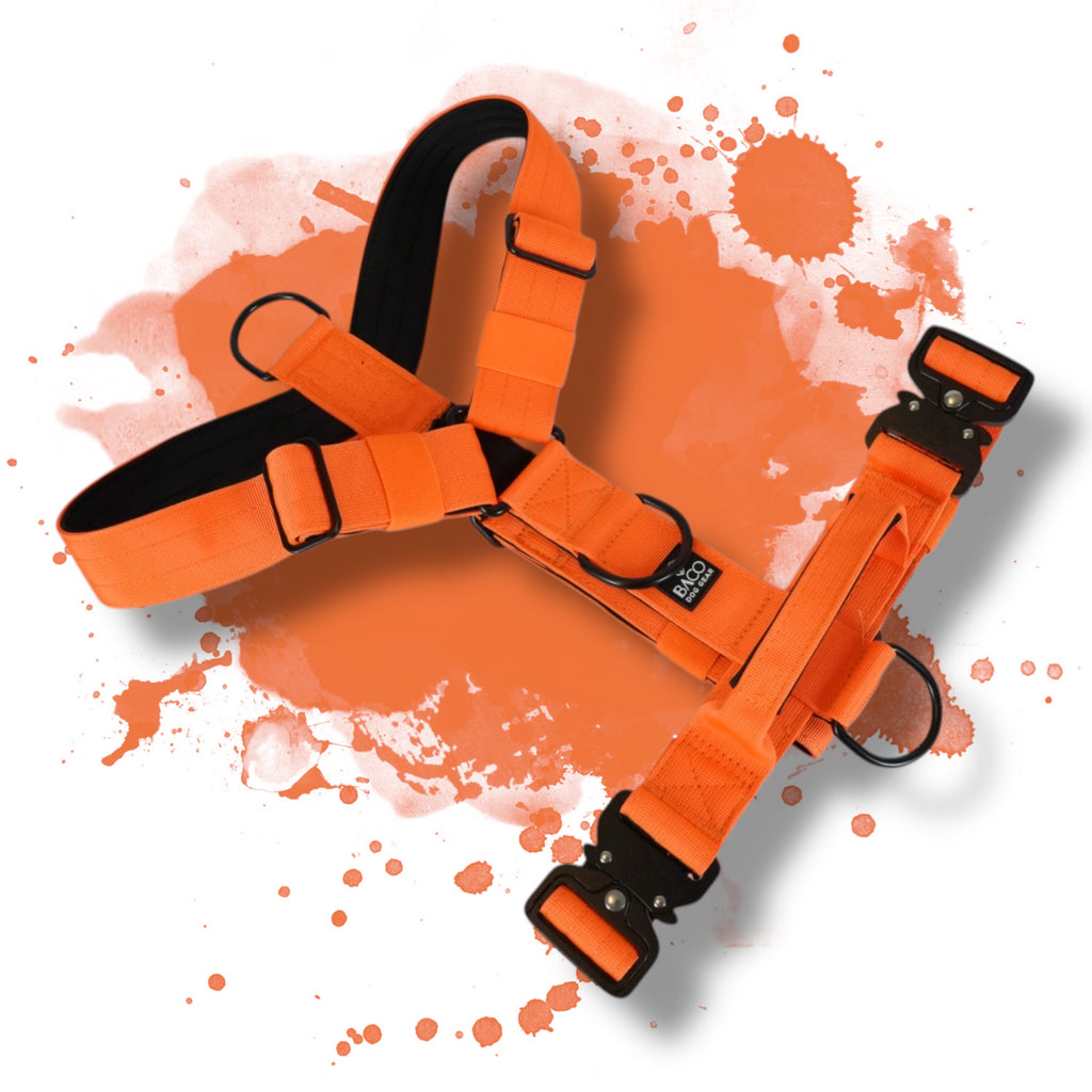 BACO DOG GEAR