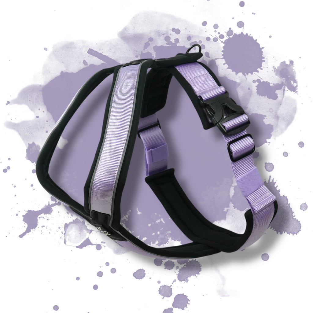 BACO DOG GEAR
