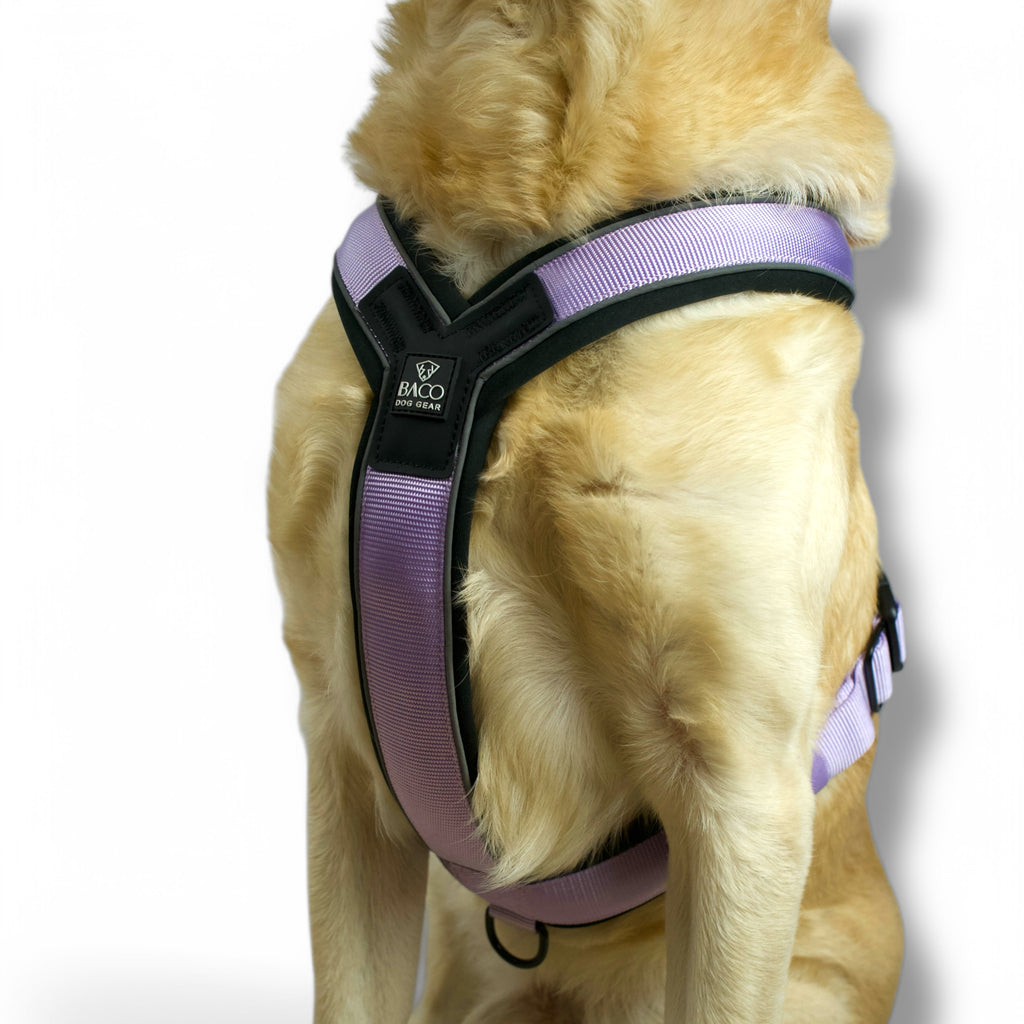 BACO DOG GEAR