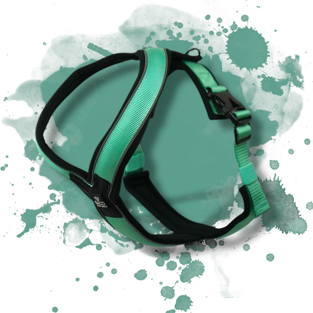 BACO DOG GEAR