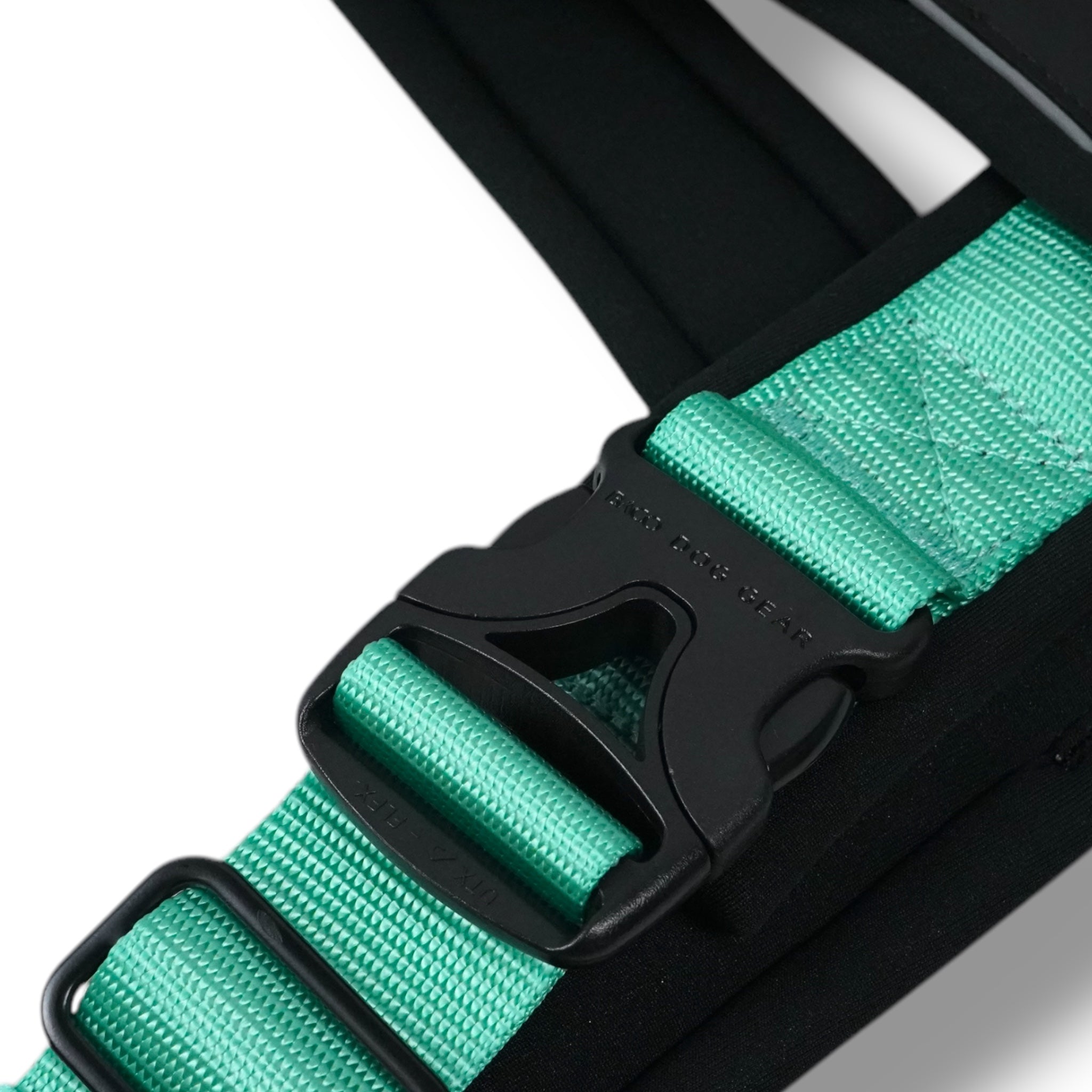 BACO DOG GEAR