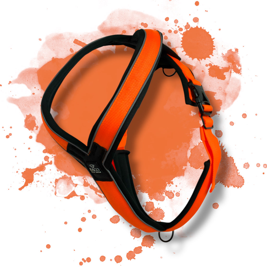 BACO DOG GEAR