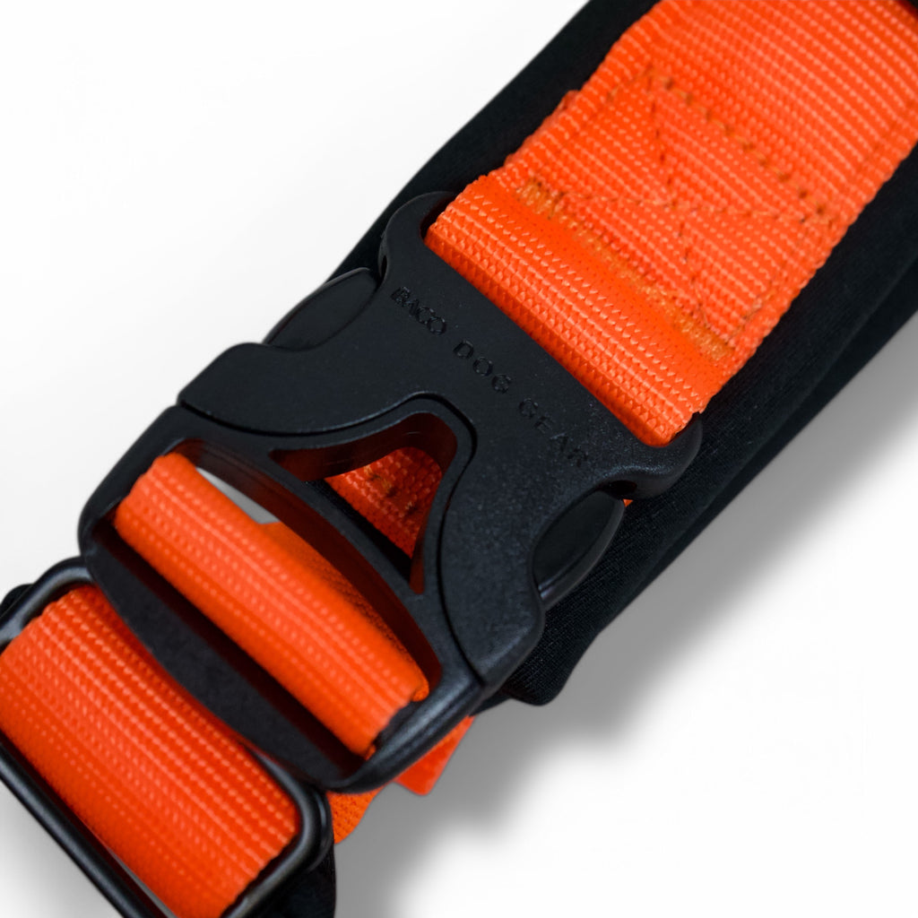 BACO DOG GEAR