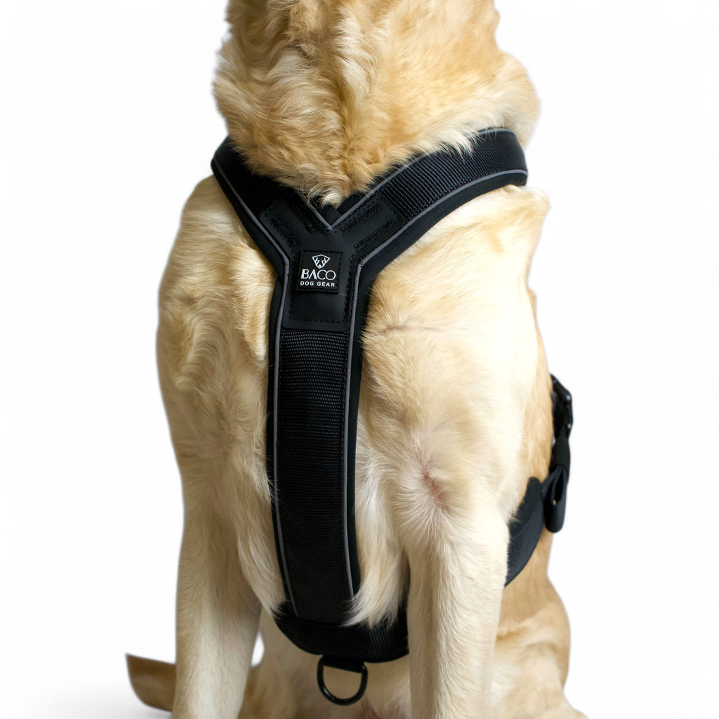 BACO DOG GEAR