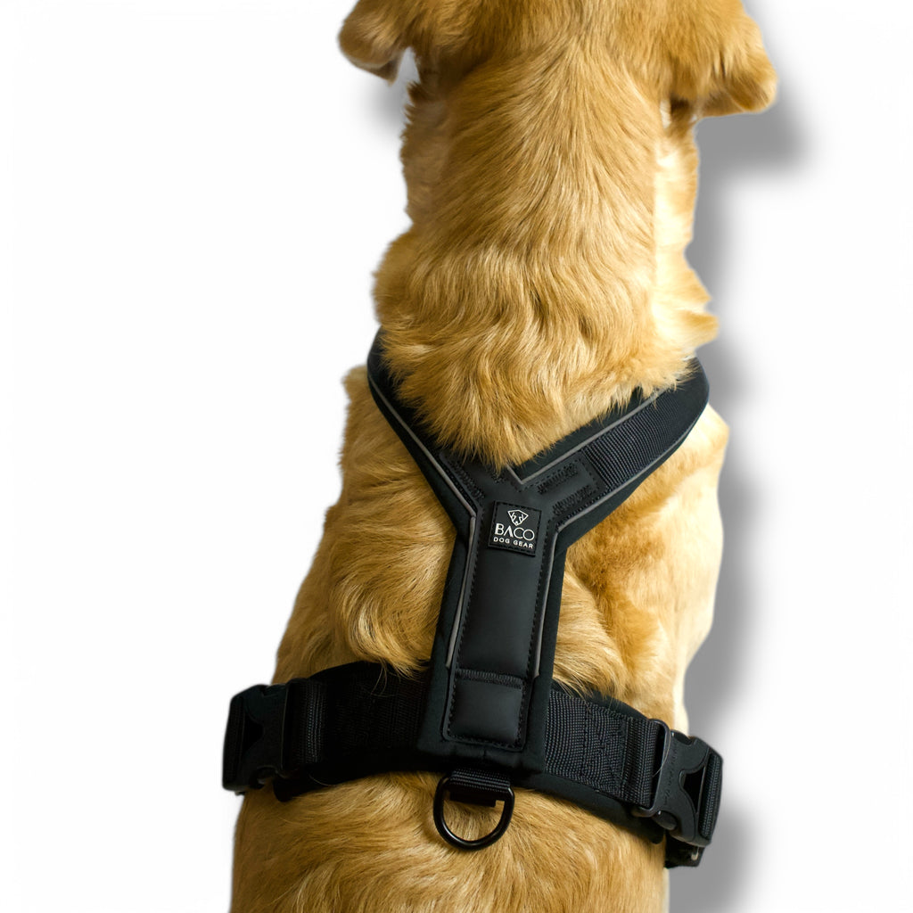 BACO DOG GEAR