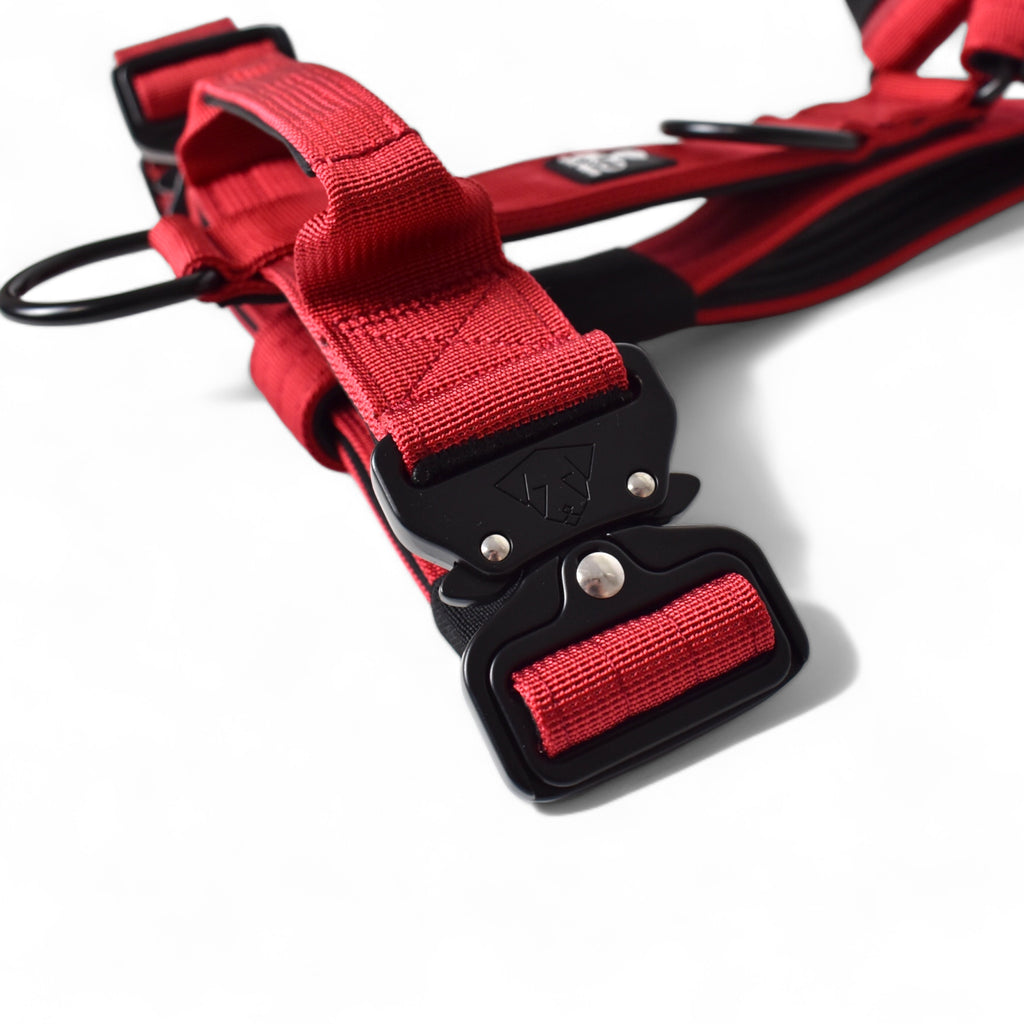 BACO DOG GEAR