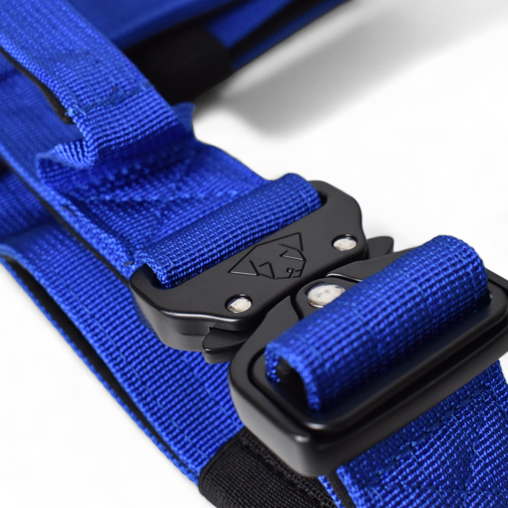 BACO DOG GEAR