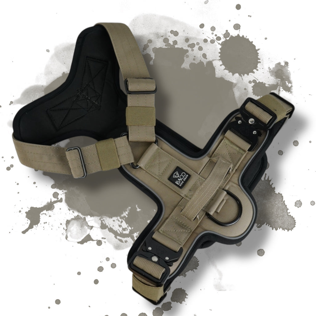 BACO DOG GEAR