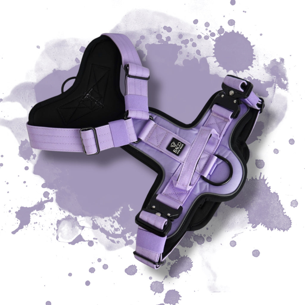 BACO DOG GEAR