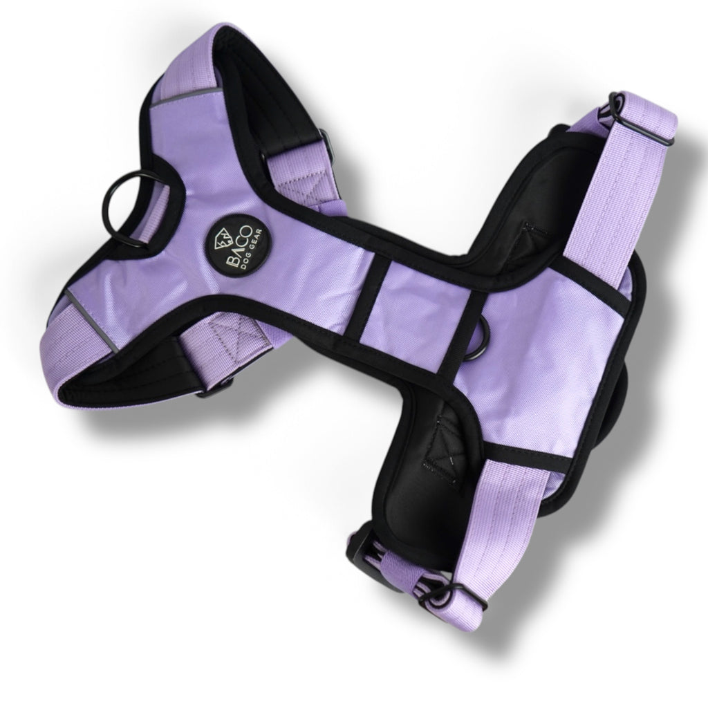 BACO DOG GEAR