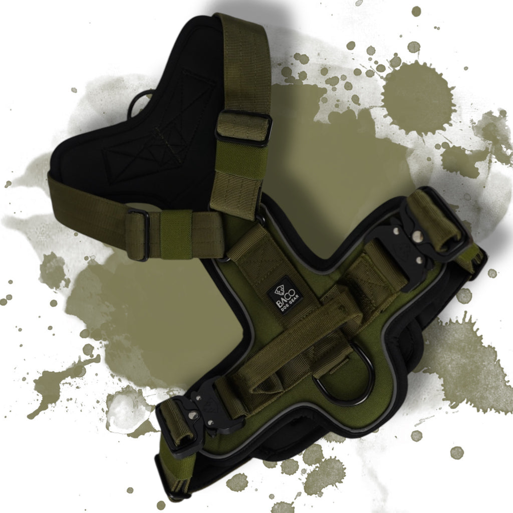 BACO DOG GEAR