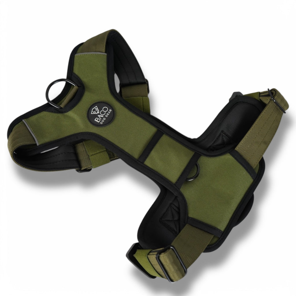 BACO DOG GEAR