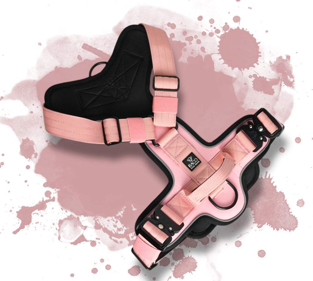 BACO DOG GEAR