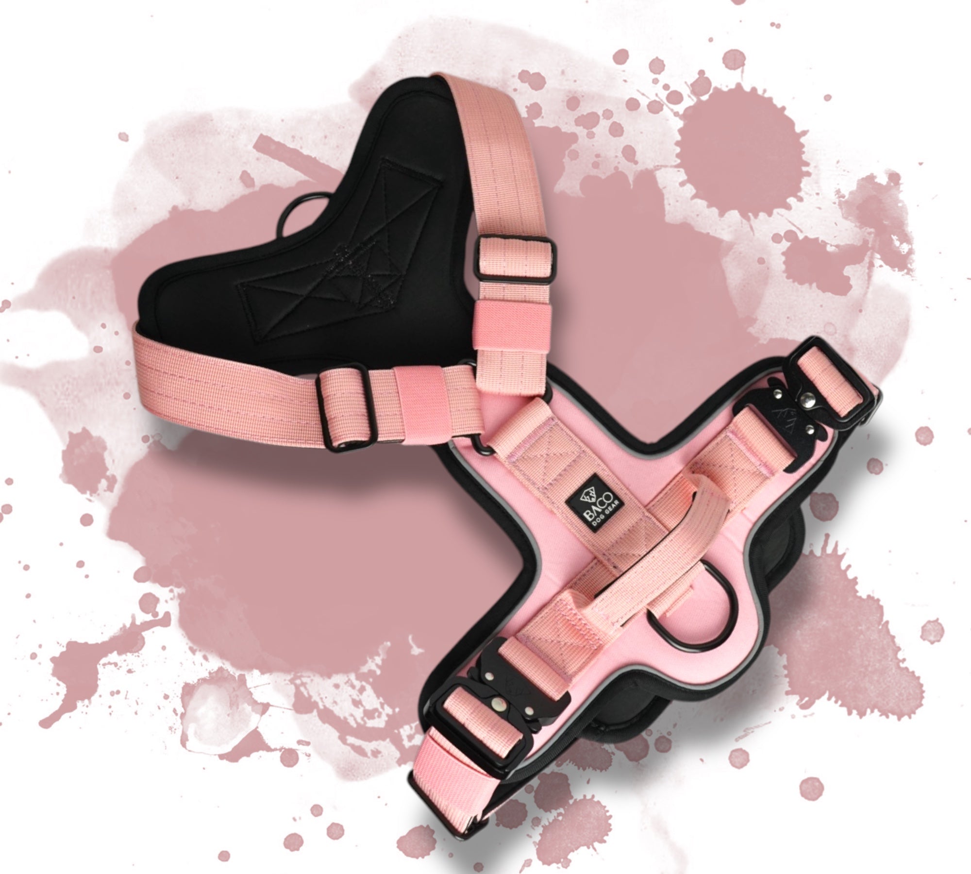BACO DOG GEAR
