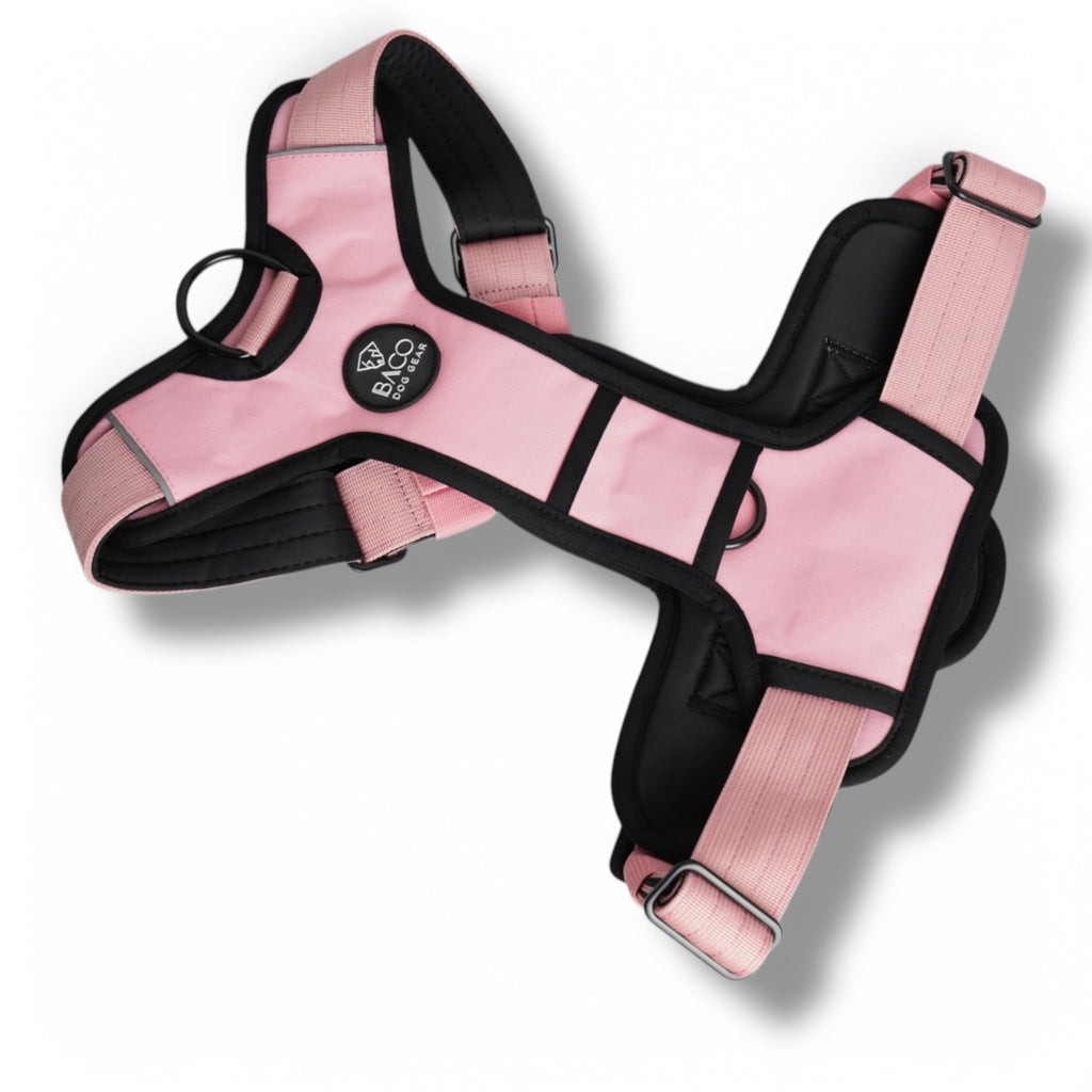 BACO DOG GEAR
