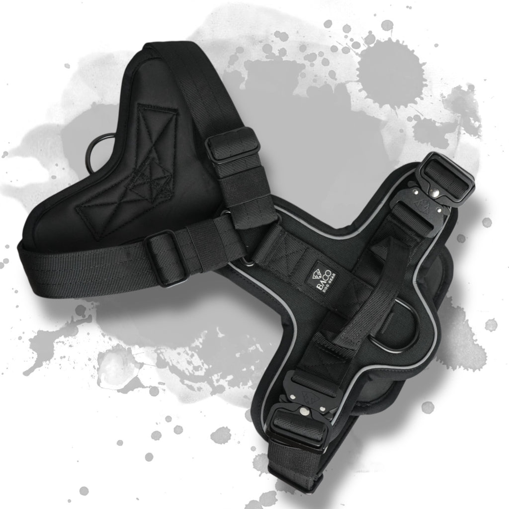 BACO DOG GEAR