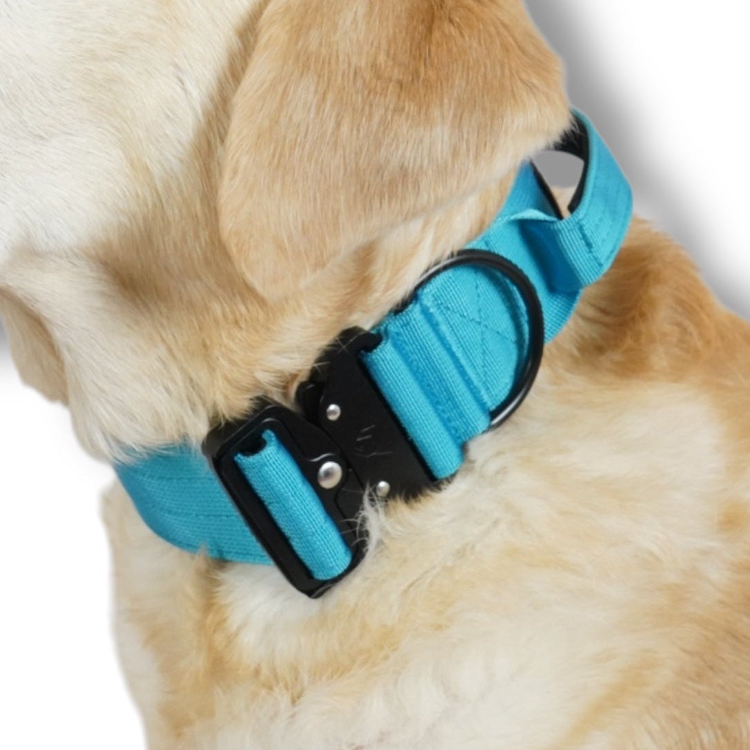 BACO DOG GEAR