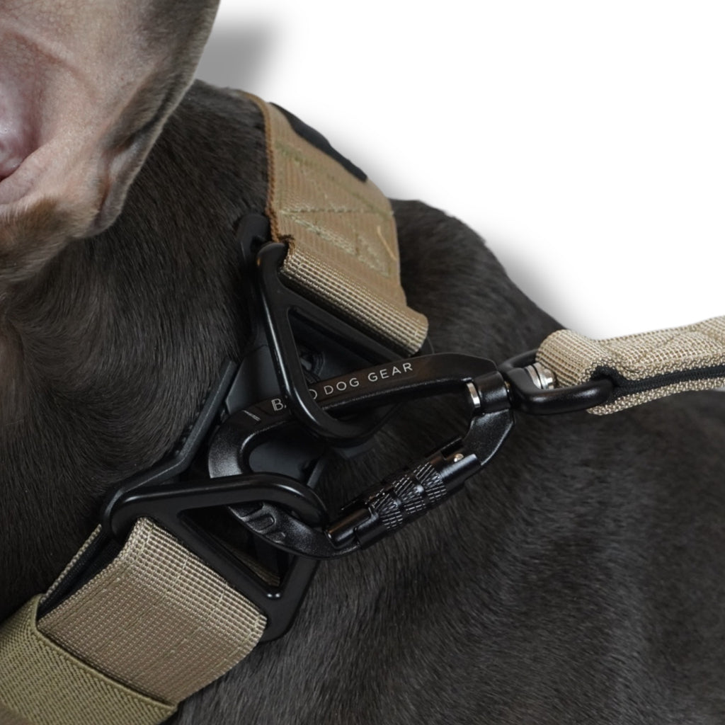 BACO DOG GEAR
