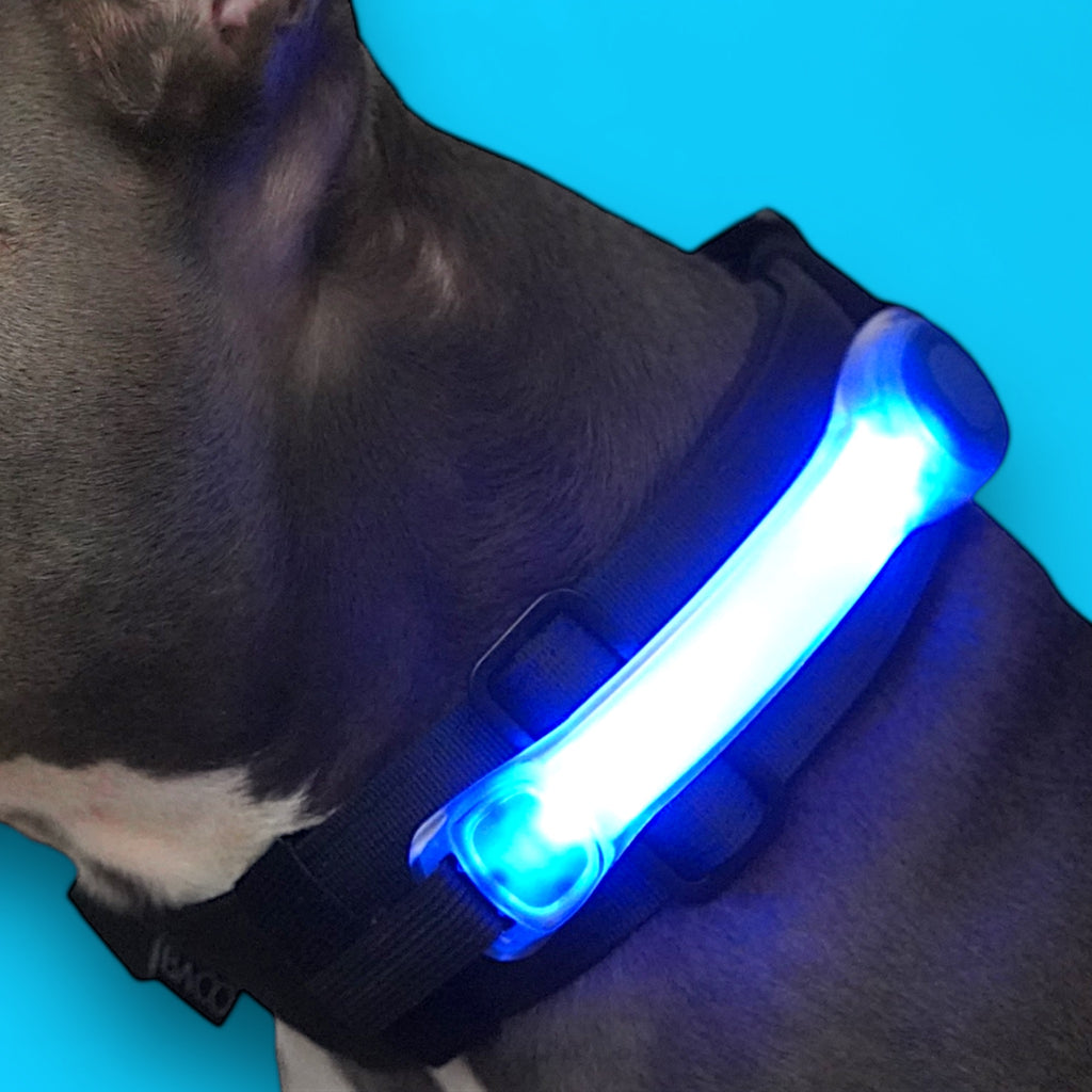 BACO DOG GEAR