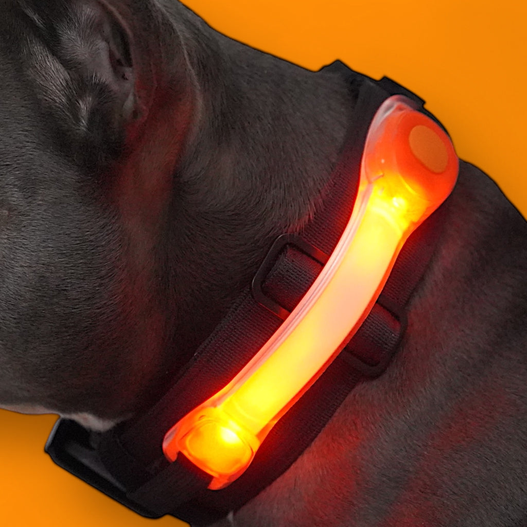 BACO DOG GEAR