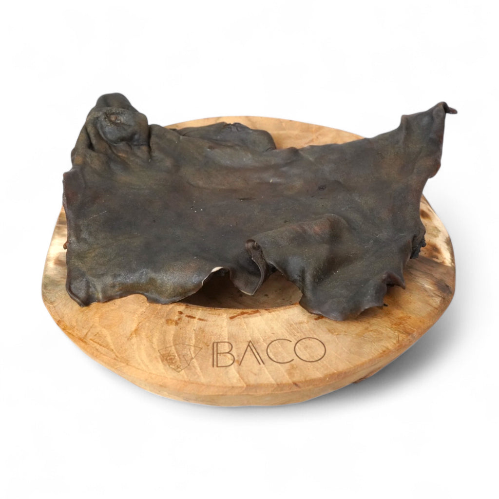BACO DOG GEAR