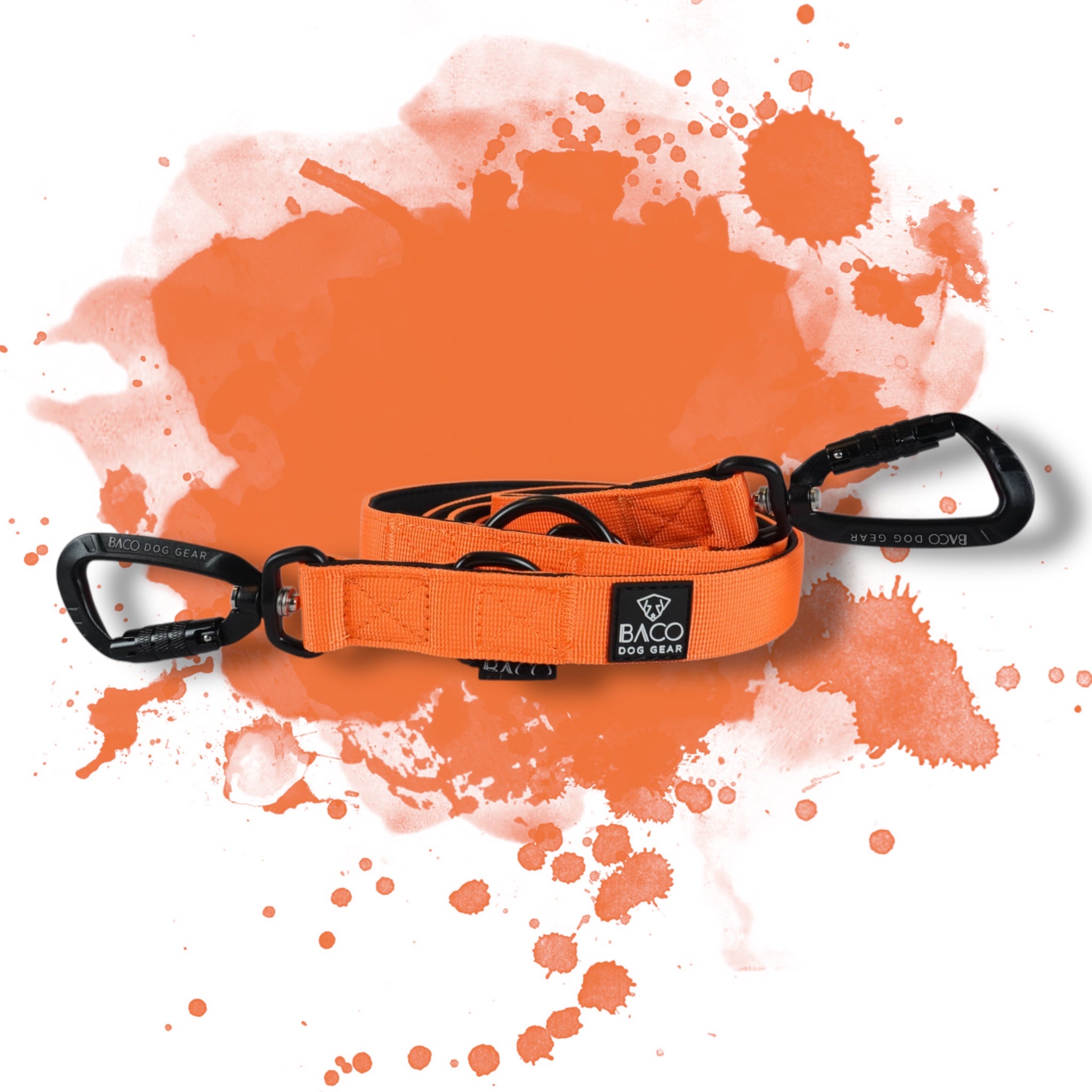 BACO DOG GEAR