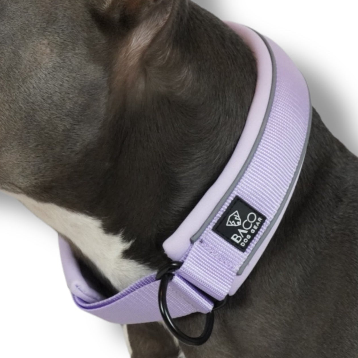 BACO DOG GEAR