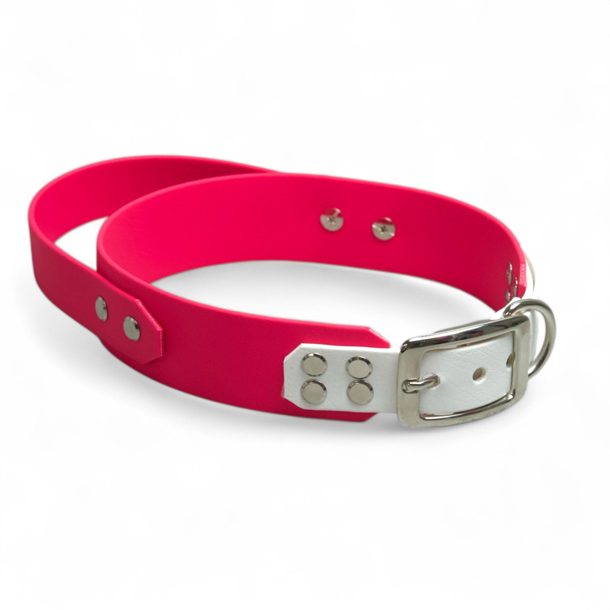 BACO DOG GEAR