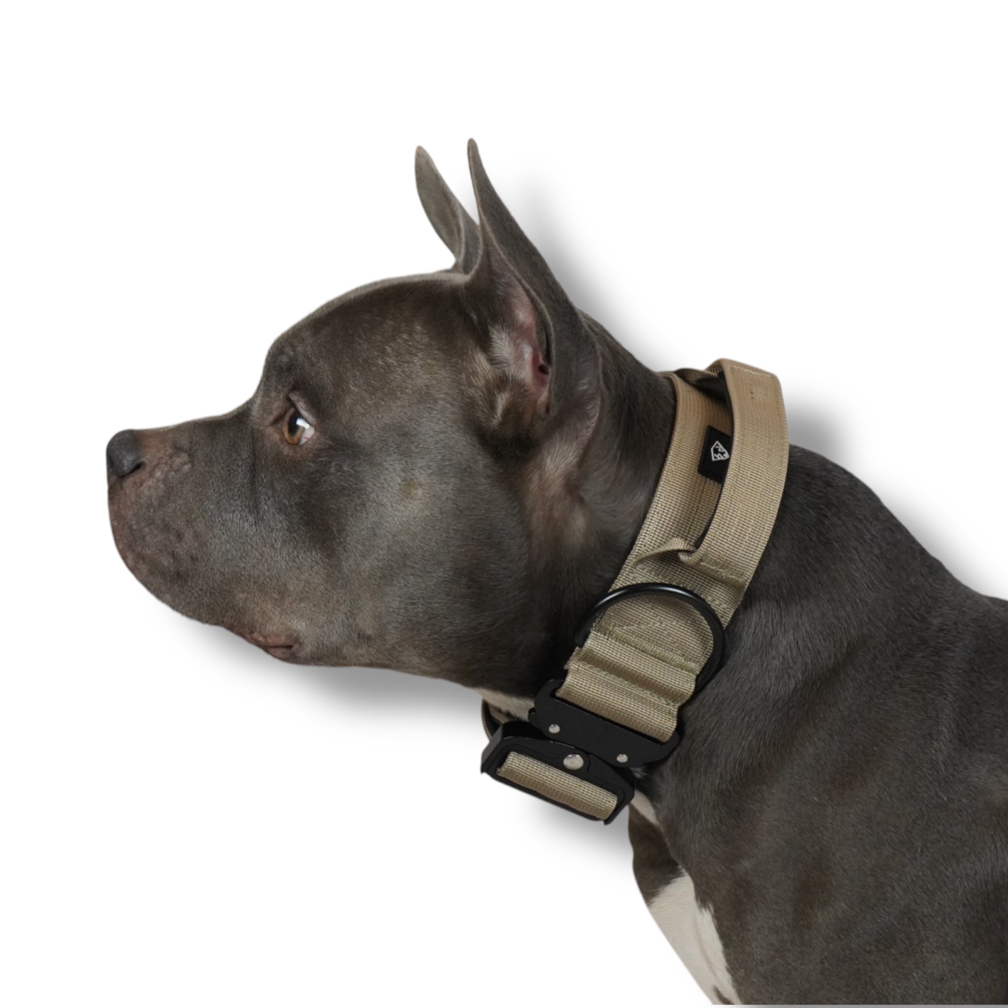 BACO DOG GEAR