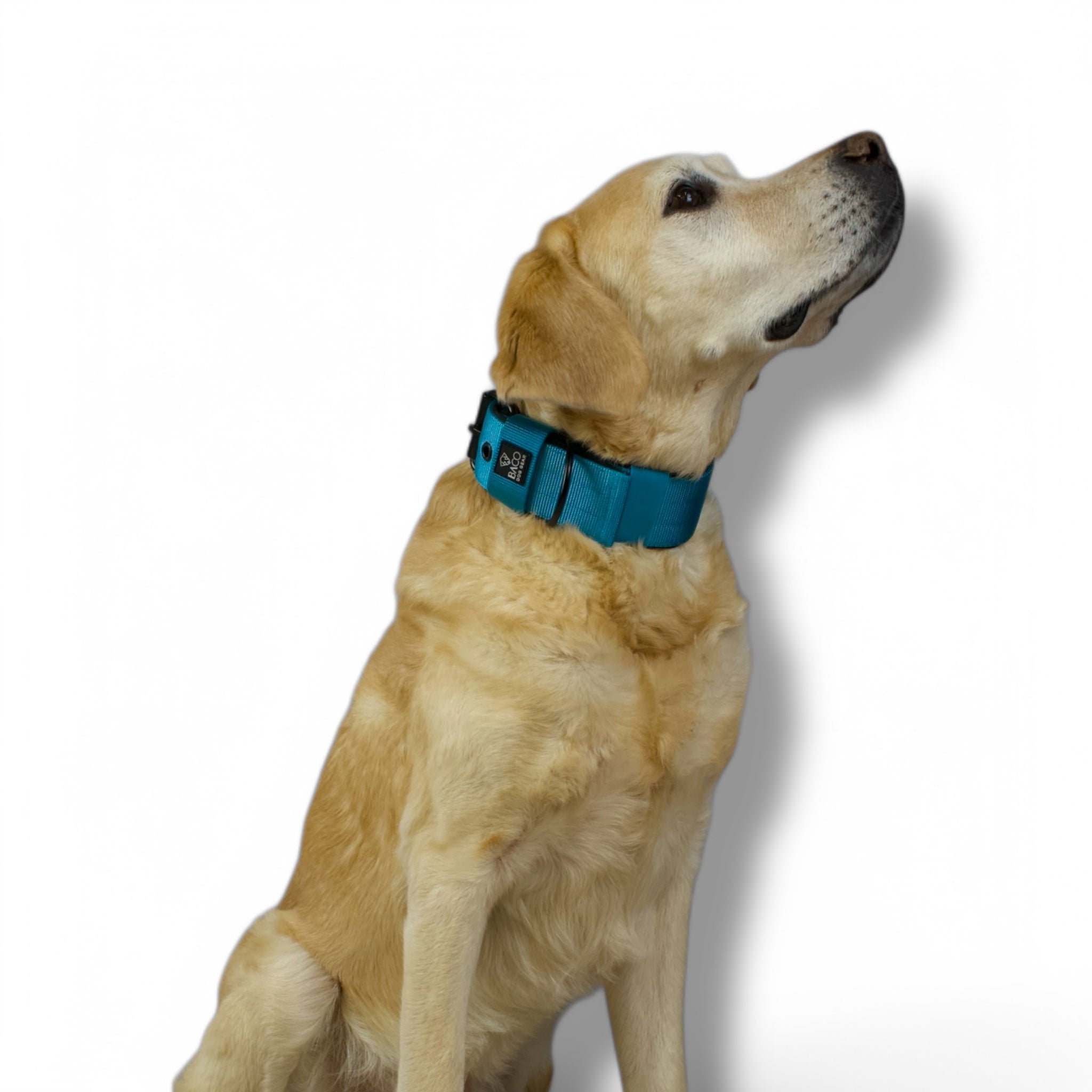 BACO DOG GEAR