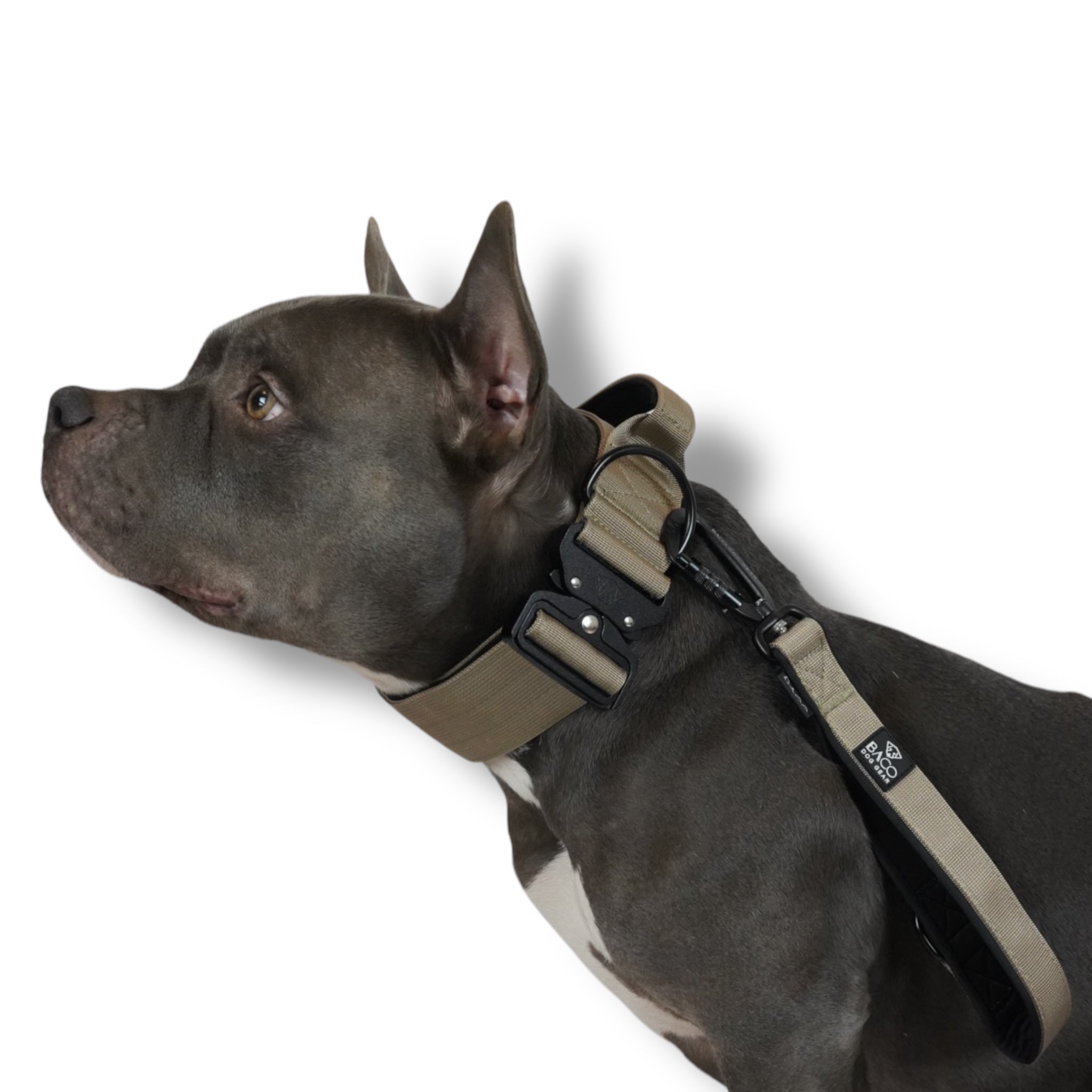 BACO DOG GEAR