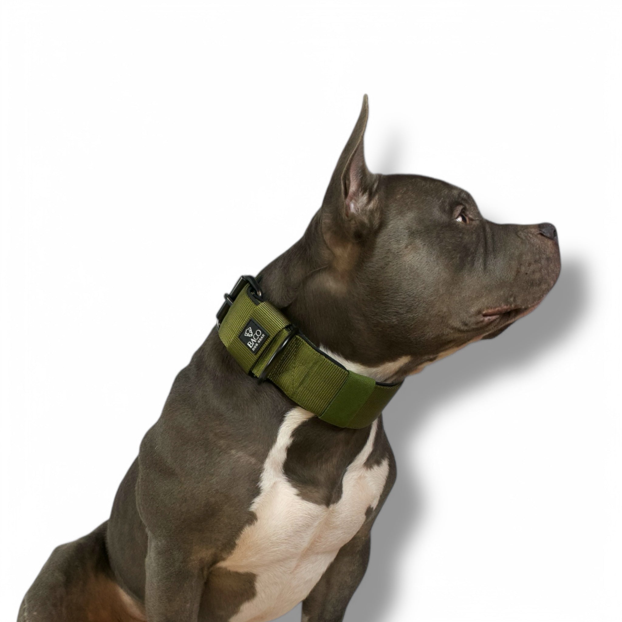Hundehalsband BACO Rollschnalle Khaki M extra breit | 5cm