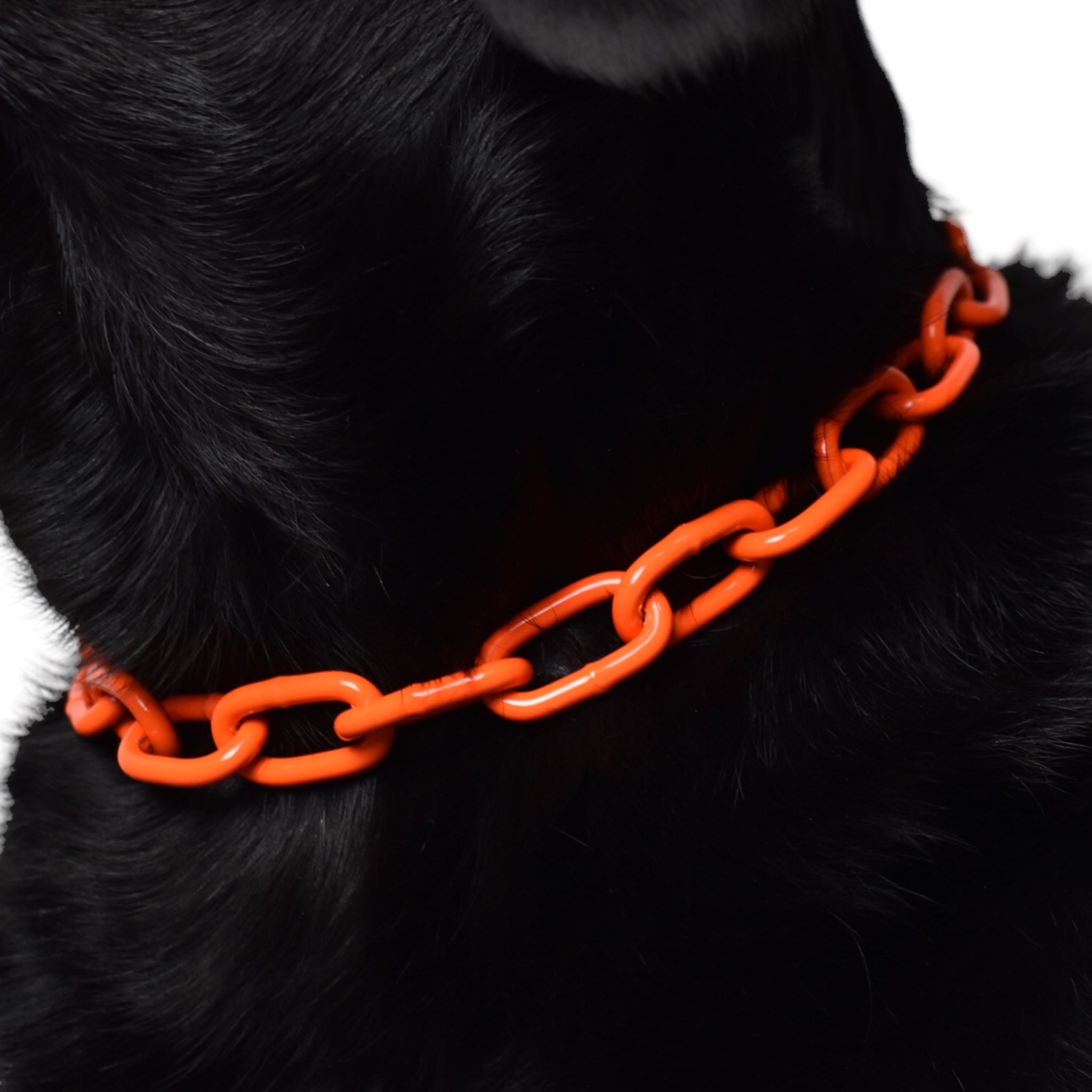 BACO DOG GEAR