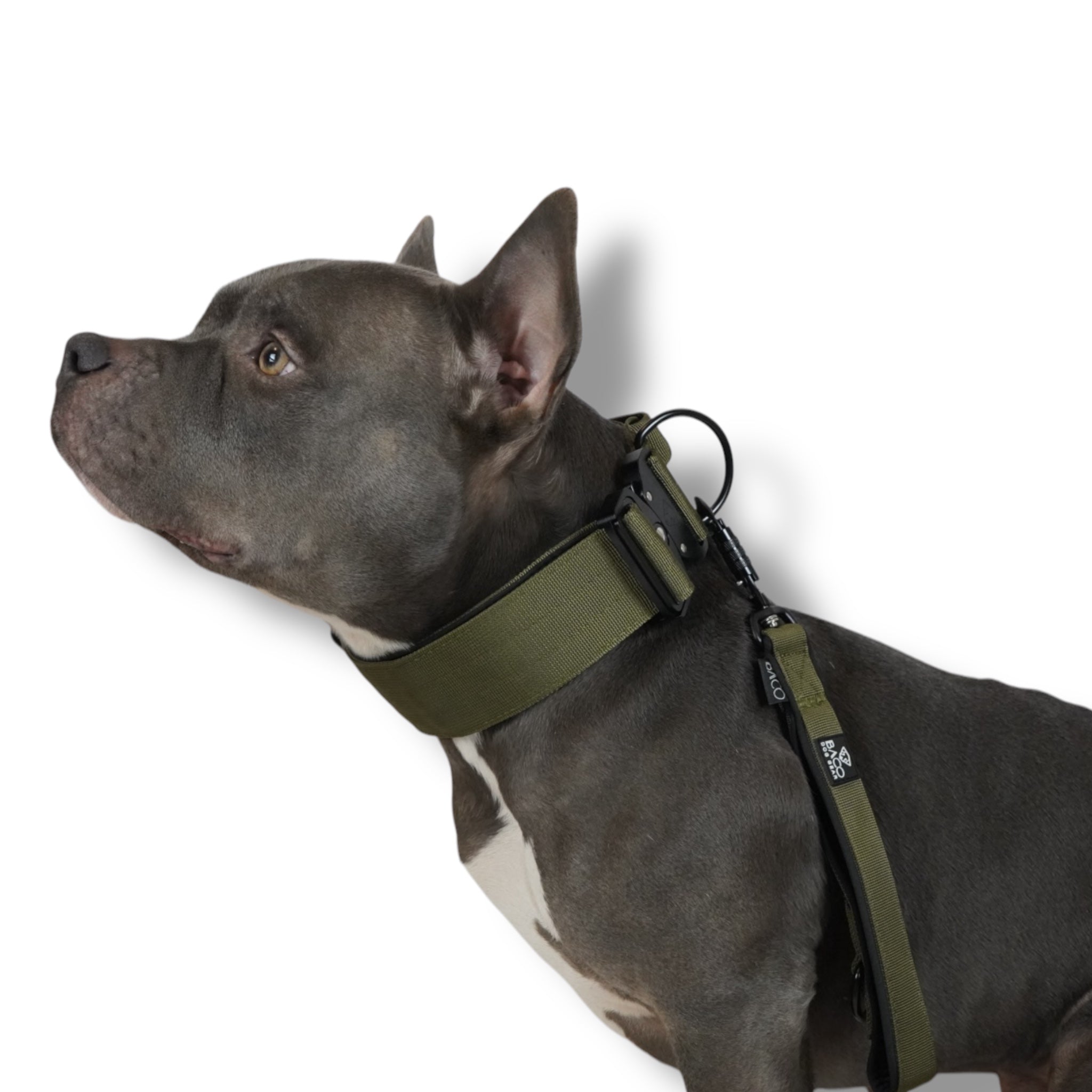 BACO DOG GEAR
