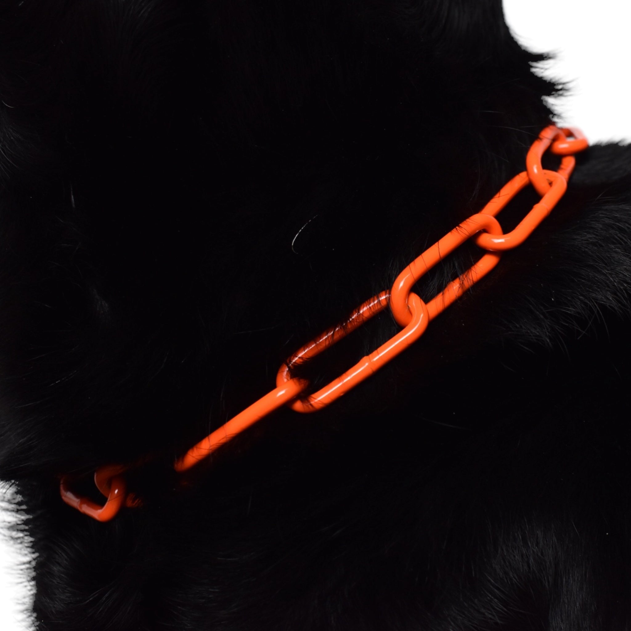 BACO DOG GEAR