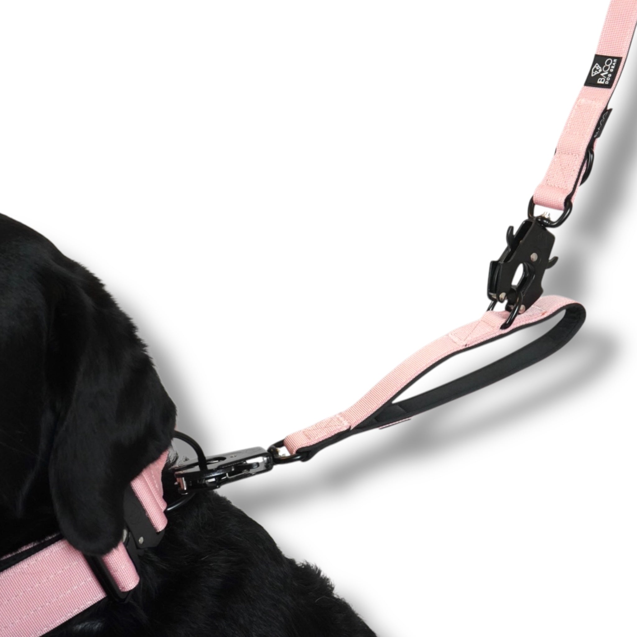 BACO DOG GEAR