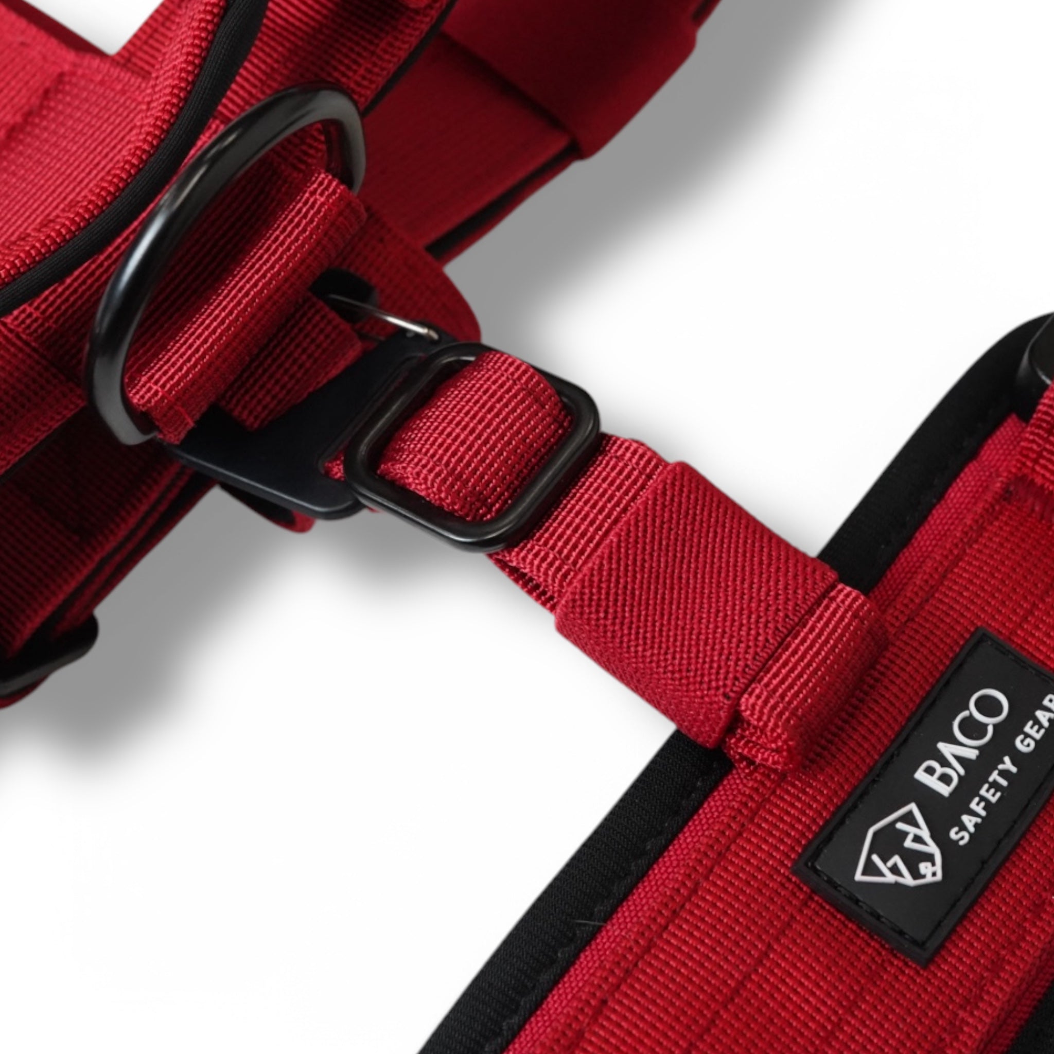 BACO DOG GEAR