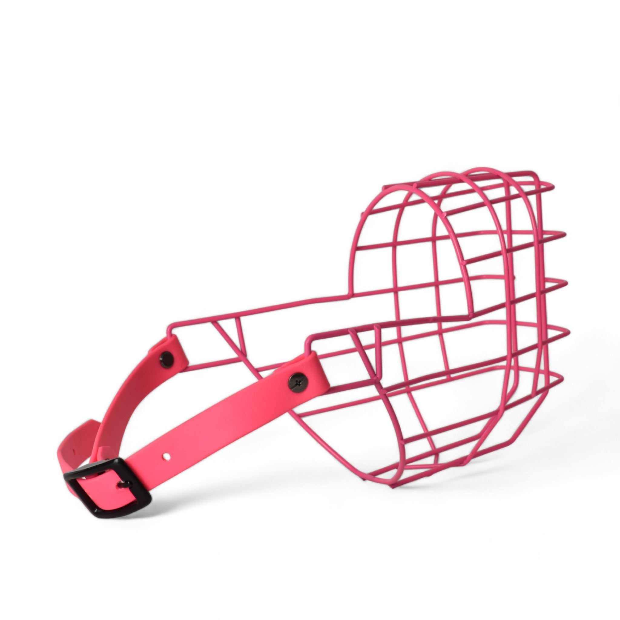 BACO DOG GEAR