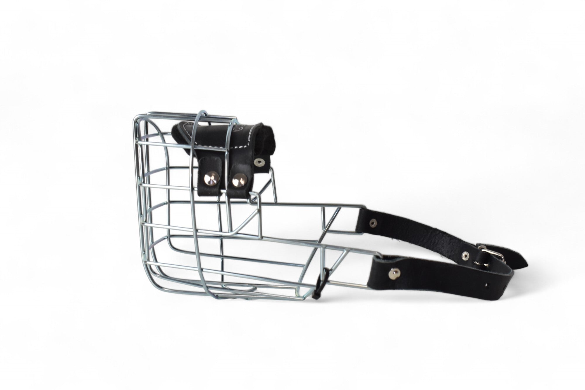 BACO DOG GEAR