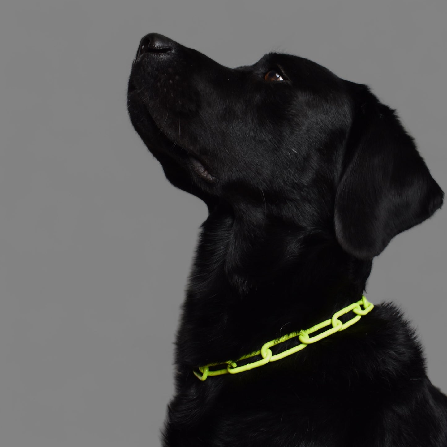 BACO necklace neon yellow