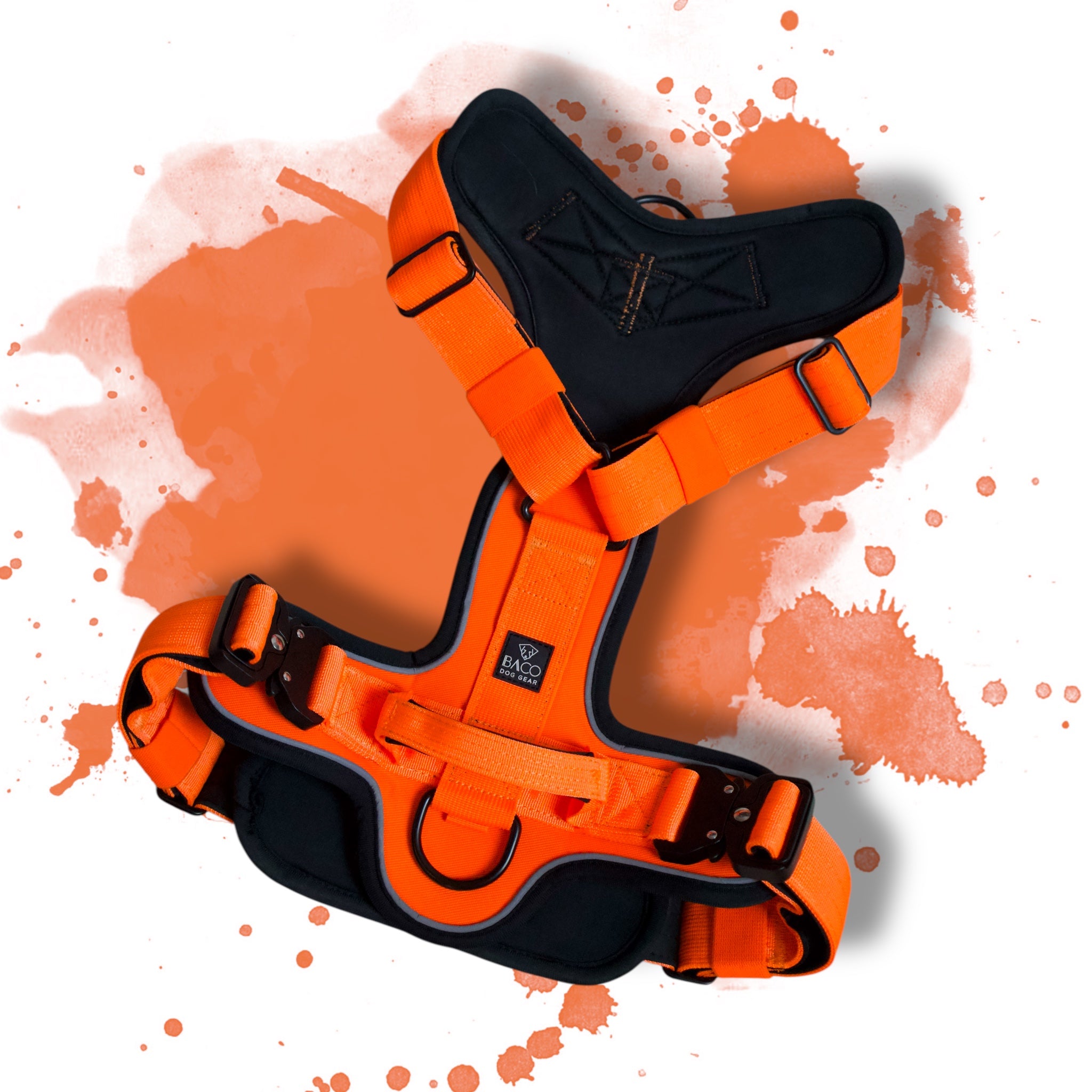BACO DOG GEAR