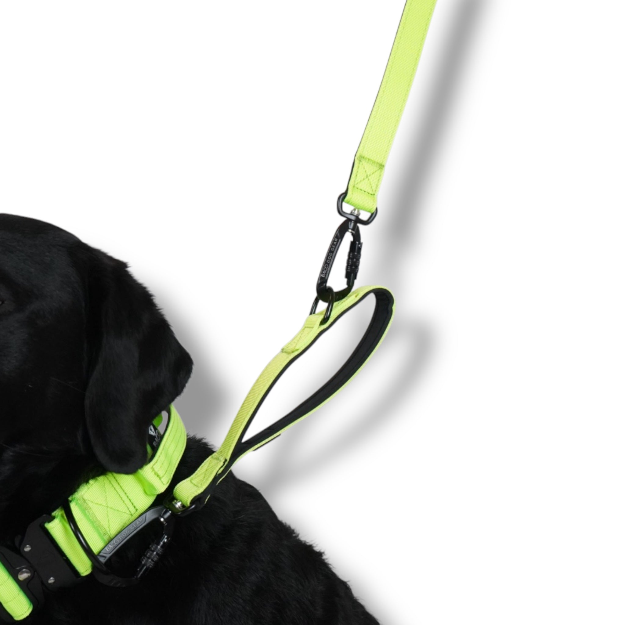 BACO DOG GEAR