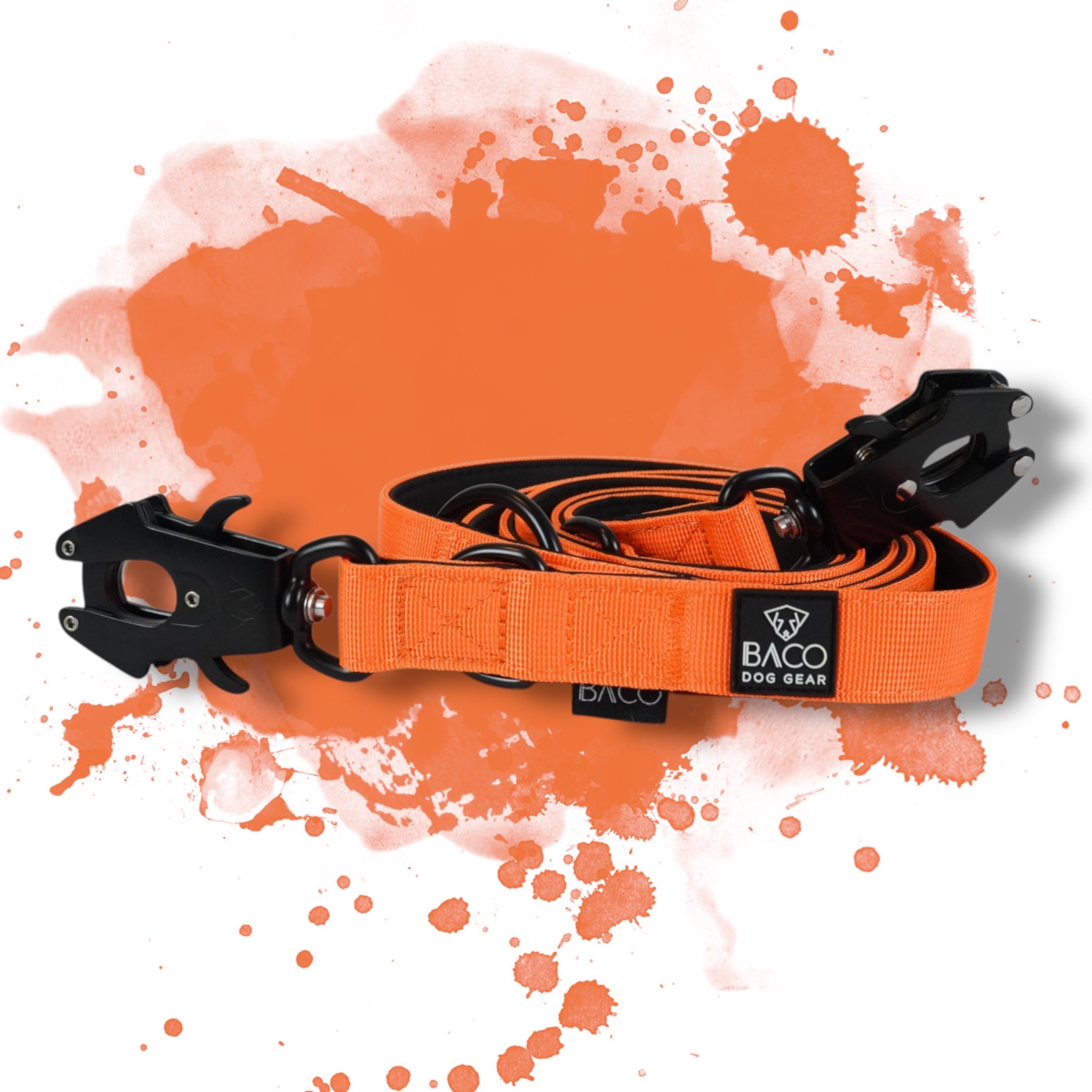 BACO DOG GEAR
