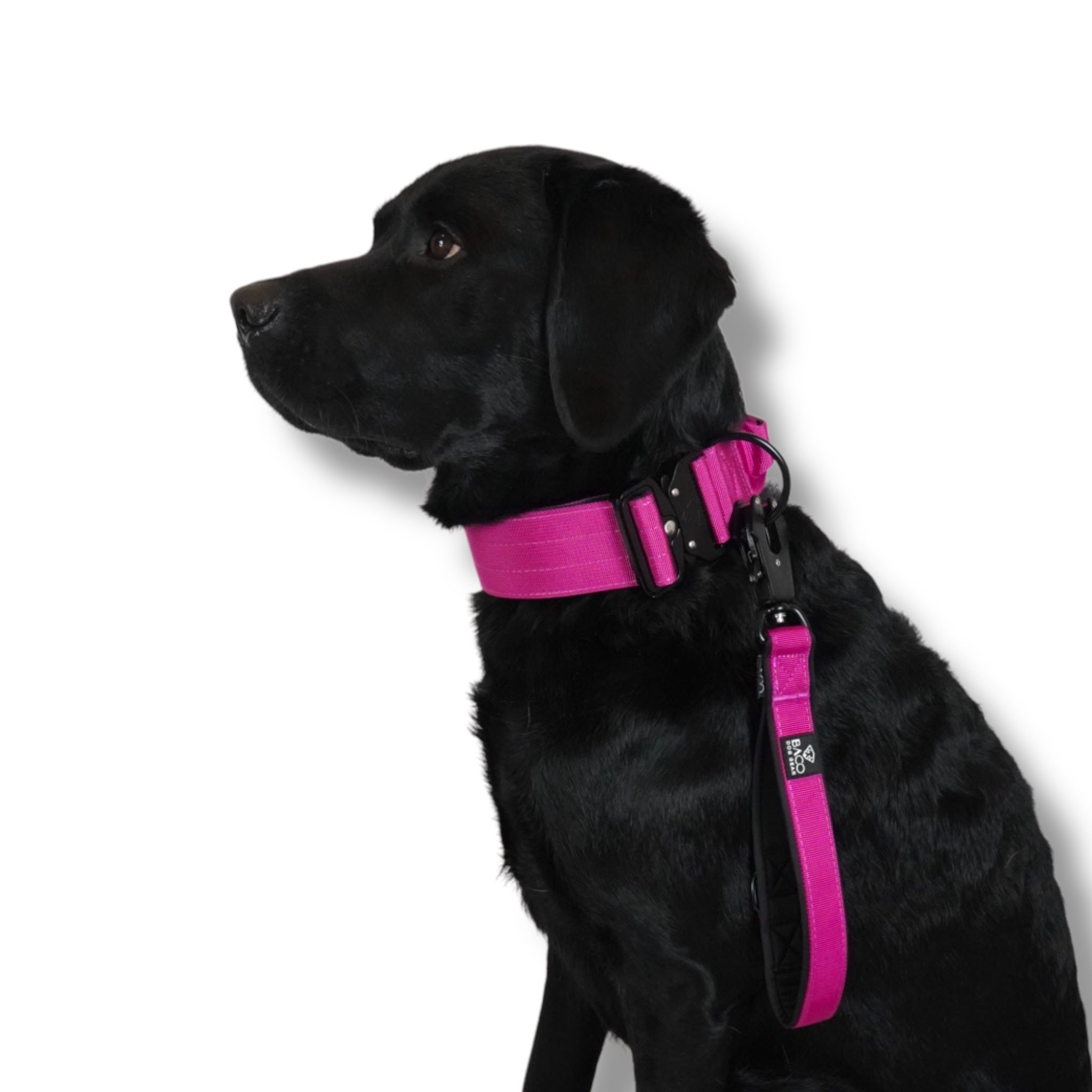 BACO DOG GEAR