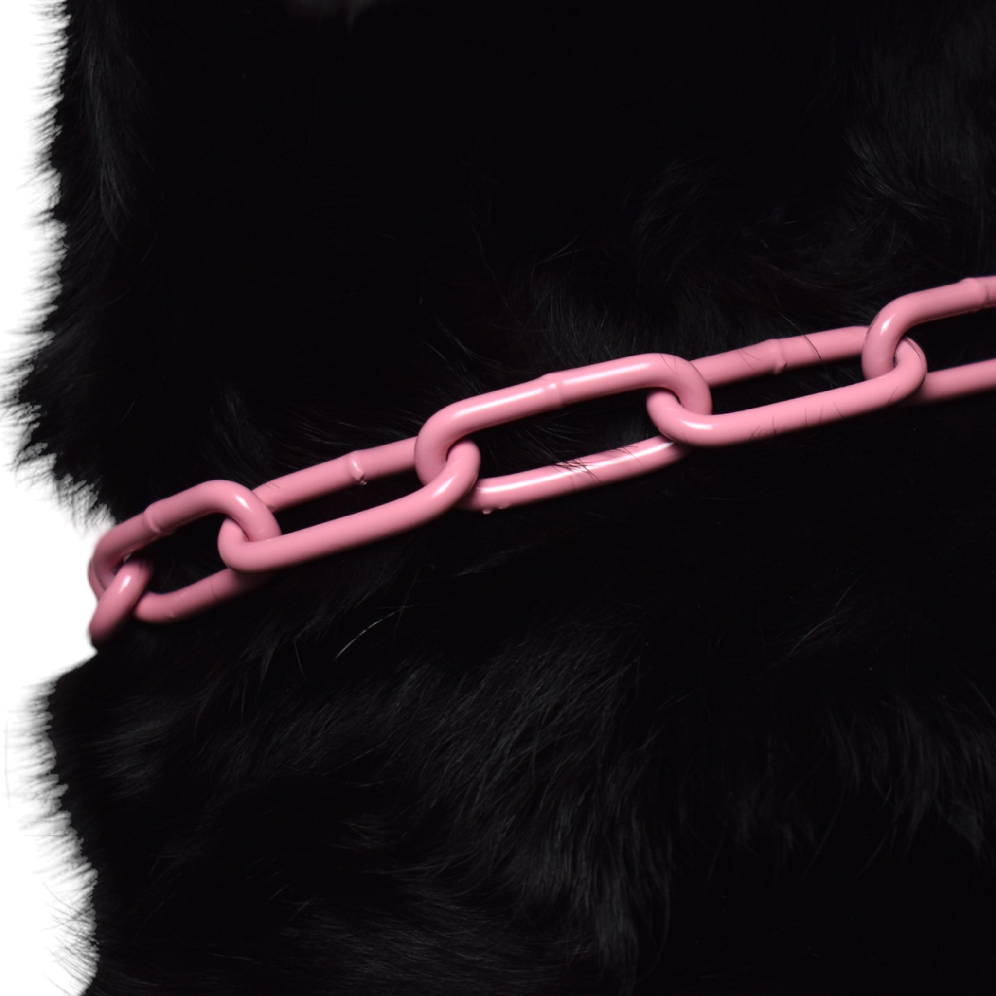 BACO DOG GEAR