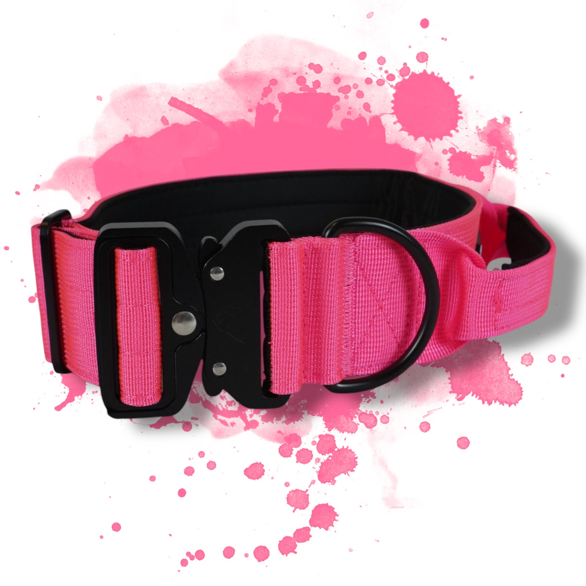 BACO DOG GEAR